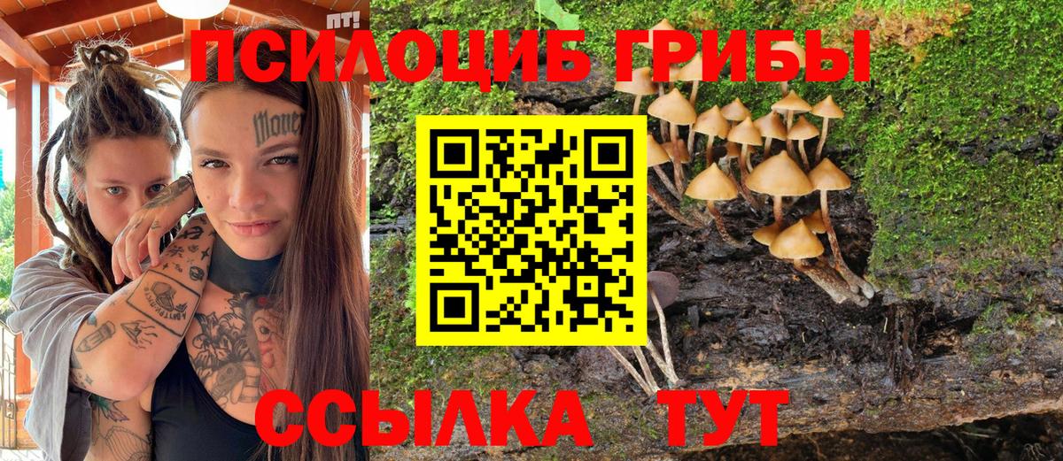 Псилоцибиновые грибы мухоморы Киржач