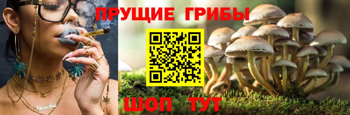 Галлюциногенные грибы мицелий  купить наркотики цена  Киржач  Галлюциногенные грибы MAGIC MUSHROOMS  Вход с VPN 
